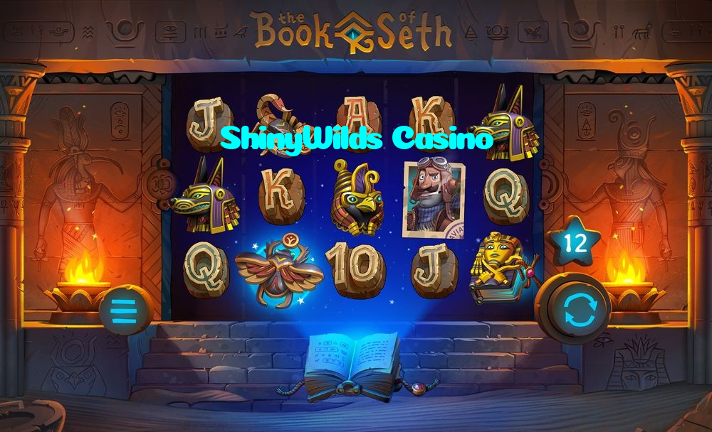 available types of ShinyWilds Casino bet including pre-match live express and system bets